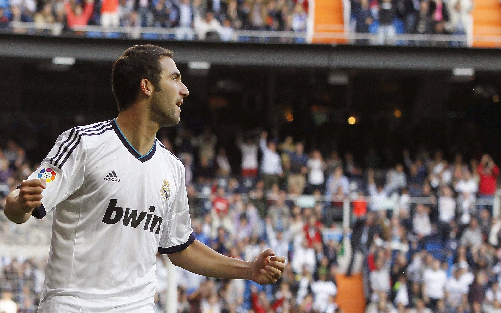 布莱顿在英超联赛中排名第五,获得欧联杯资格,英超布莱顿队徽