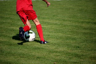 kaiyun.com-中国篮球职业联赛俱乐部青训体系建设及实践探索，职业篮球青年队