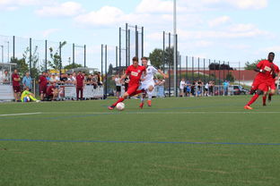 开云官方-特色足球运动场设计结合智慧城市理念，实现多功能利用，趣味足球场设计